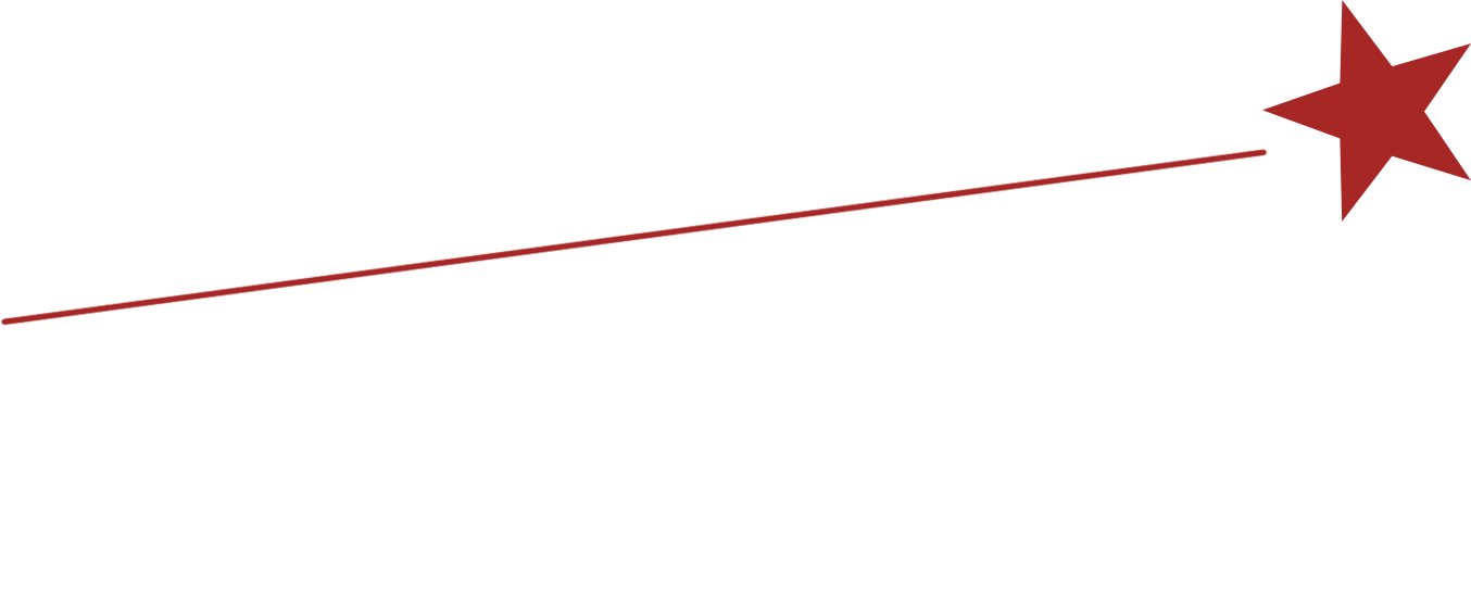 solidariteitsnetwerk vloerwerk logo deels wit