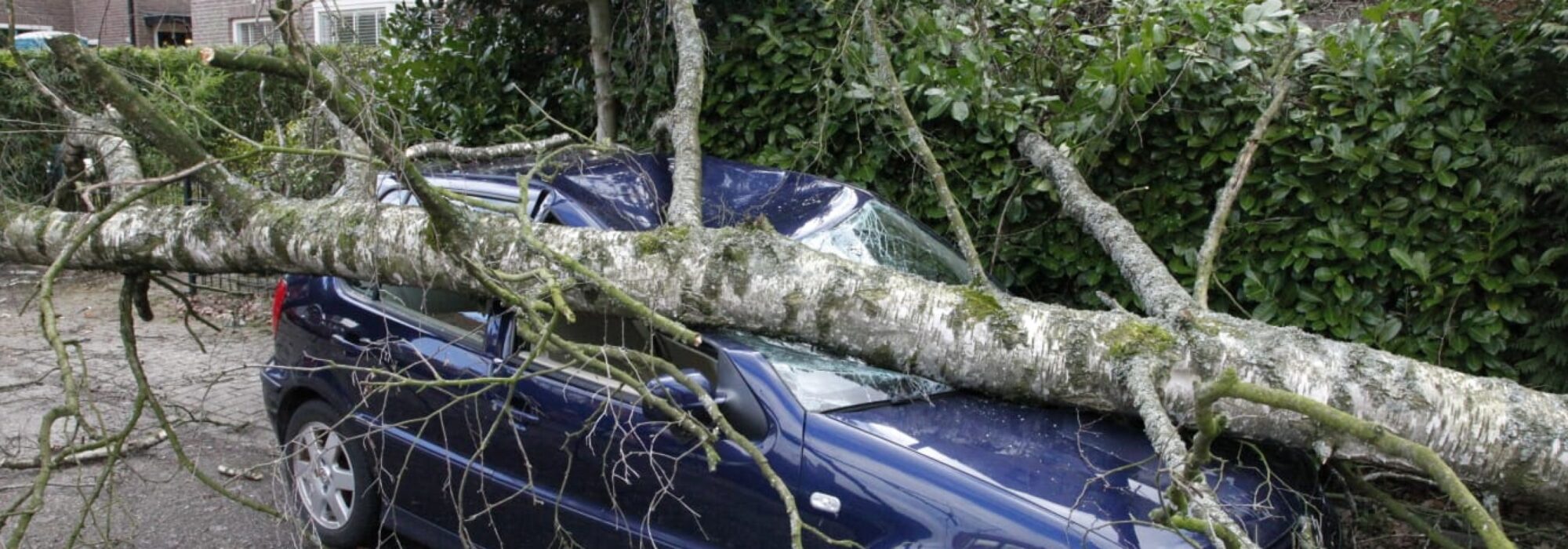 storm schade auto geraakt door boom